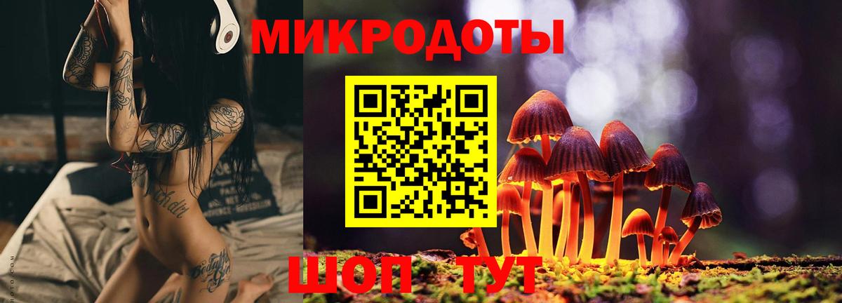Иваново  Галлюциногенные грибы Psilocybe  Вход с VPN 
